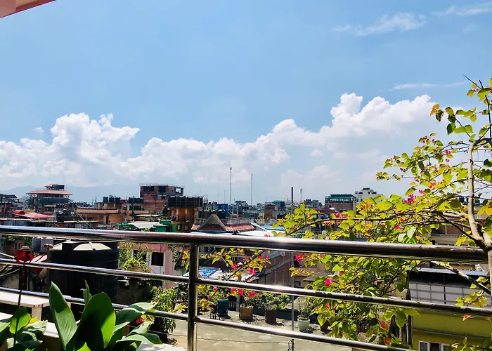 Hotel Backyard