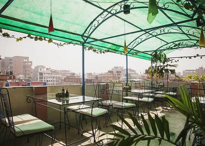 Hotel Backyard
